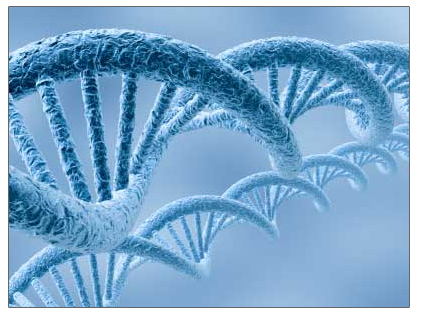 Le malattie della retina: La retinopatia diabetica